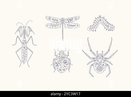 Beetles elements mantis, dragonfly, spider, caterpillar, insect drawing in floral style with blue on beige background Stock Vector