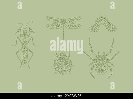 Beetles elements mantis, dragonfly, spider, caterpillar, insect drawing in floral style on green background Stock Vector