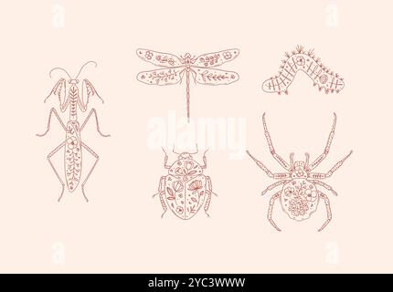Beetles elements mantis, dragonfly, spider, caterpillar, insect drawing in floral style with red on pink background Stock Vector
