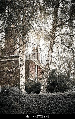 Victorian detached house seen between two birch trees in autumn Stock Photo