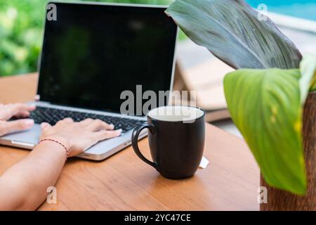A person typing on a laptop placed on a wooden table, with a black coffee mug beside it. A green plant is partially visible in the foreground, adding Stock Photo