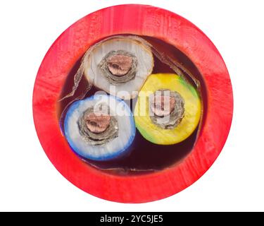 Cross section of a three conductor electrical cable Stock Photo