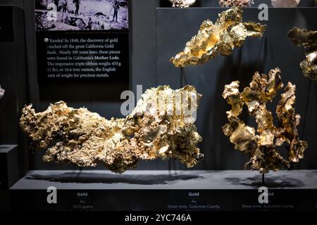 WASHINGTON DC, United States — The National Museum of Natural History's gem and mineral collection features an impressive display of large natural gold nuggets. Located in the Janet Annenberg Hooker Hall of Geology, Gems, and Minerals, this exhibit showcases significant specimens of native gold in its natural form. The collection demonstrates the various sizes and formations in which gold naturally occurs. Stock Photo