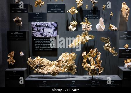 WASHINGTON DC, United States — The National Museum of Natural History's gem and mineral collection features an impressive display of large natural gold nuggets. Located in the Janet Annenberg Hooker Hall of Geology, Gems, and Minerals, this exhibit showcases significant specimens of native gold in its natural form. The collection demonstrates the various sizes and formations in which gold naturally occurs. Stock Photo