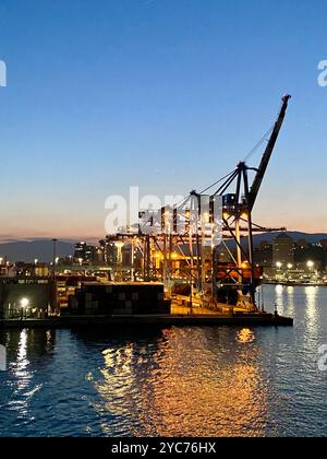 Large container ship in loading dock Stock Photo - Alamy