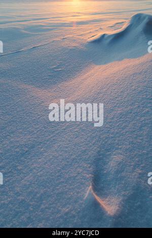 Landscape of fresh & clean snow on the ground and snowdrift at sunset. Good as a natural winter season background, copy space. Abstract snowy shapes. Stock Photo
