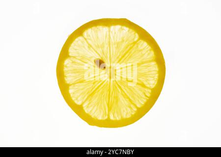 Macro  photo of a lemon fruit slice Stock Photo