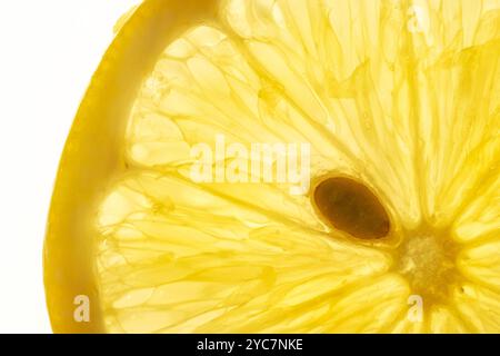 Macro  photo of a lemon fruit slice Stock Photo