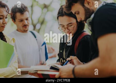 Multicultural students collaborating on school projects outdoors Stock Photo