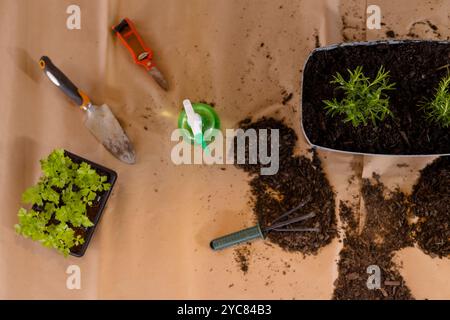 Gardening tools and seedlings arranged on table for home planting activity Stock Photo