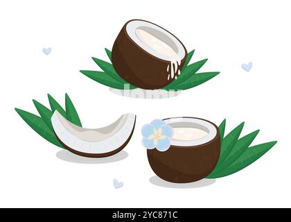 Three coconuts set, nuts with palm leaves, flower, milk and hearts, vector color illustration Stock Vector