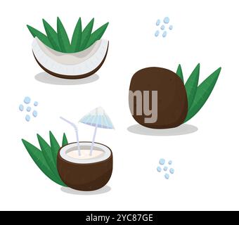 Coconut pieces with leaves, whole palm nut and milkshake, juice cocktail, vector colorful illustration Stock Vector