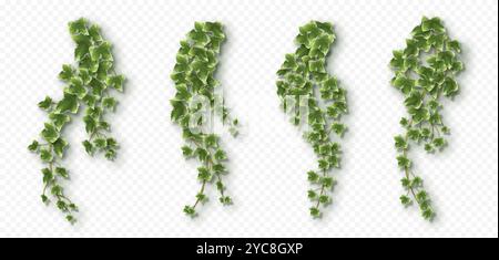 Frame of ivy vines with green leaves. Garden wall decoration with ...