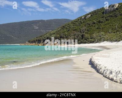 Sandy beach in Little Waterloo Bay, Wilsons Promontory, Victoria, Australia, Oceania Stock Photo