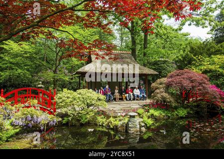 Pond and reflections in Pond .Japanese garden in Hague, japanese garden in bloom at Hague, Netherlands. Idyllic day at May Stock Photo