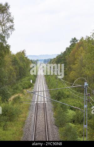 Railway straight through the woods Stock Photo