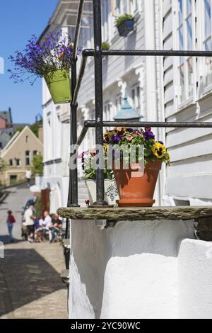 Flowers in pots on stairs at house Stock Photo