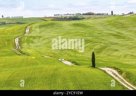 Rolling agricultural landscape with a dirt road across the fields Stock Photo