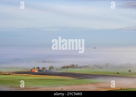 View at farm in the countryside with fog on the fields Stock Photo