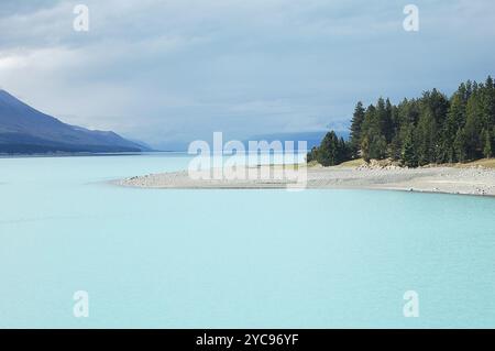 The aqua water of Lake Tekapo with pine trees on the South Island of New Zealand Stock Photo