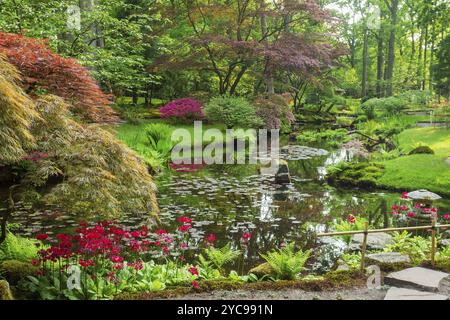 Awe blossom of pink and yellow rhododendrons and other plants in ...