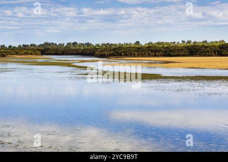 Rhyll Inlet State Wildlife Reserve is a wetland reserve with walking paths, a boardwalk, mangroves, birds and ocean views, Phillip Island, Victoria, A Stock Photo