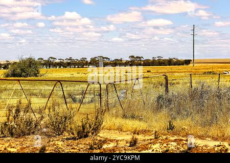 Old farm gate and Canola field, South Doodlakine, Western Australia Stock Photo