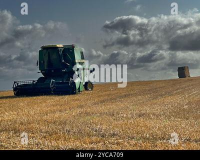 Combine Harvester in field of stubble after harvest with treatening cloud and bale stack Stock Photo