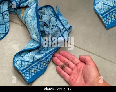 hair and dust on a hand and tiled floor with bathroom towels Stock Photo