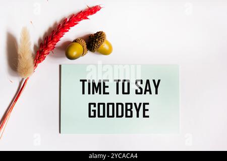 The phrase It's time to say goodbye, written in a notebook, on a white background Stock Photo