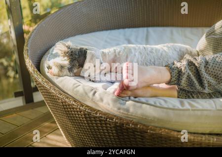 a woman and her terrier resting together on the couch, outdoor shot Stock Photo