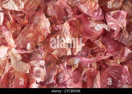 pile of onion peel, useful and beneficial discarded vegetable skin or food waste, used as natural fertilizer or compost, culinary and health benefits Stock Photo