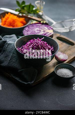 An elegant arrangement of fresh salad ingredients with shredded red cabbage, grated carrot, sliced red onion, sea salt, and olive oil, all displayed o Stock Photo