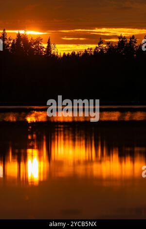 Atmospheric scene capturing the serene beauty of a sunset with golden hues reflecting over a calm forest lake, encapsulating a peaceful moment in natu Stock Photo