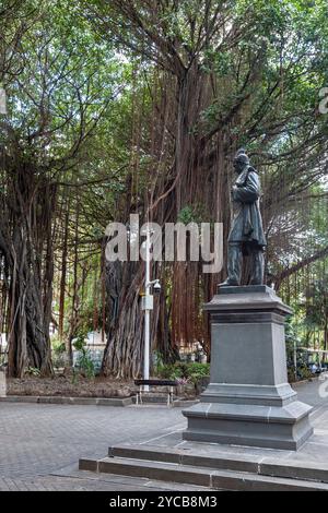 Park, garden, Les Jardin de la Compagnie, giant Bayan trees, Banyan Tree (Ficus benghalensis), Port Louis, Indian Ocean, island, Mauritius, Africa, Ga Stock Photo