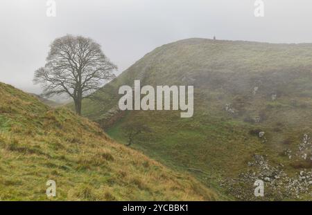 Hadrian's wall along the ridge of Peel crags flanked by moorland and farmland in autumn, Northumberland national park, UK. Stock Photo