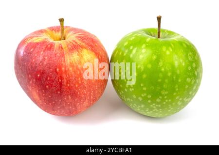 red and green apple, close-up, isolated on white background Stock Photo