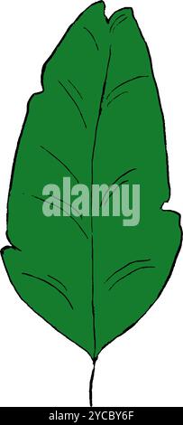 Vector banana tropical leaf graphic. Wildlife green plants and jungle fresh foliage. Vector element isolated on a white background. Hello summer graph Stock Vector