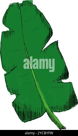Hand drawn sketch style banana leaf. Best for wedding save date, envelope, valentine, for party, holiday decor. Vector illustrations isolated on white Stock Vector
