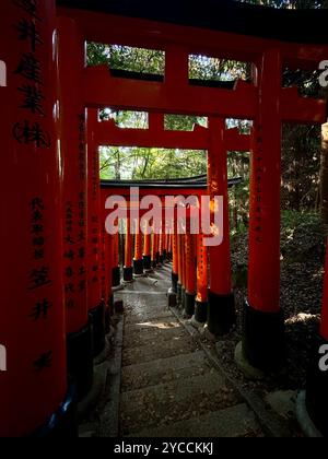 Thousand Tori Gates, Inari Hill, Kyoto, Japan Stock Photo