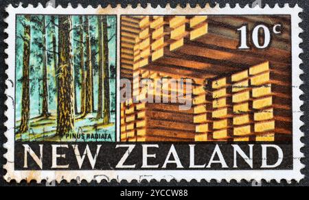 Cancelled postage stamp printed by New Zealand, that shows Pinus radiata, Forest and Timber, circa 1968. Stock Photo