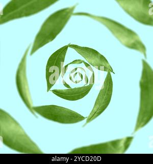 Green leaves swirling in air on light blue background Stock Photo