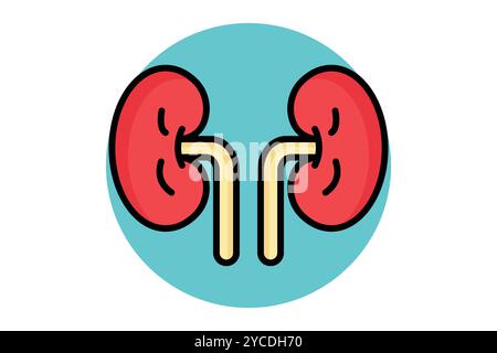 Kidney icon. colored outline icon style. icon related to medical. health elements vector illustration Stock Vector