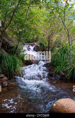 Small waterfall, Tully River, Tully Gorge North Queensland Stock Photo