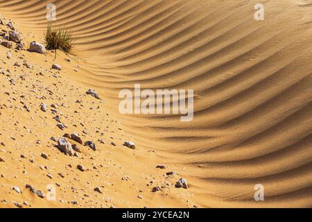 Wind-sculpted sand structure in the Rub al Khali desert, Dhofar province, Arabian Peninsula, Sultanate of Oman Stock Photo