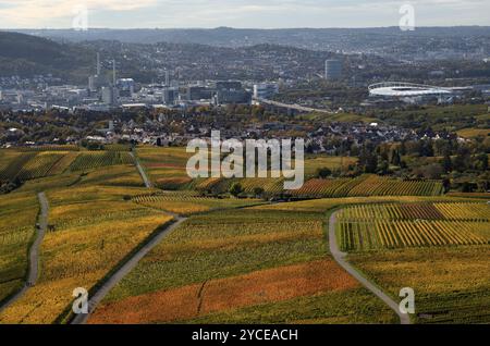 View of MHPArena, MHP Arena, gas boiler, Mercedes-Benz Museum, Daimler Group headquarters, Untertuerkheim plant, Stuttgart, over vineyard, vines, grap Stock Photo