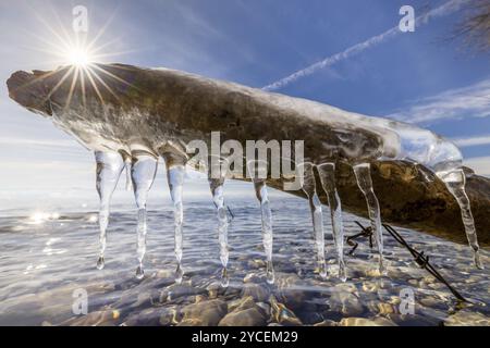 Icicle on a branch with reflecting water and brightly shining sun, harbour, Gohren, Lake Constance, Baden-Wuerttemberg, Germany, Europe Stock Photo
