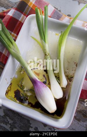 Fresh onion with oil and vinegar salt vinaigrette Stock Photo