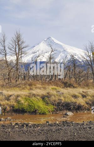 Lanin Volcano is an ice-clad, cone-shaped stratovolcano on the border of Argentina and Chile. It forms part of two national parks: Lanin in Argentina Stock Photo