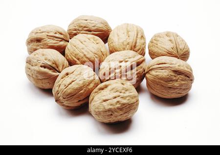 Walnuts, Close Up against white background Stock Photo